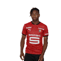 Ligue 1 Football Sticker by Stade Rennais F.C.