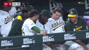 Sport Wow GIF by MLB