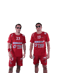 Wilhelmshaven Whv Sticker by whvhandball