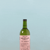 lofiaperitifs cocktails lofi martini lo-fi GIF