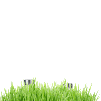 Summer Cheers Sticker by Absolut Vodka