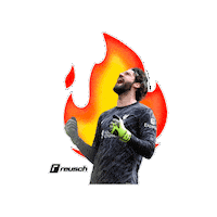 Premier League Liverpool Sticker by Reusch