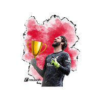 Premier League Liverpool Sticker by Reusch