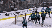 Happy Ice Hockey GIF by NHL