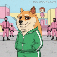 Shiba Inu Netflix GIF by Doge Pound