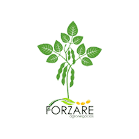 Agro Soja Sticker by Forzare Agronegócio