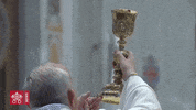 Pope Francis GIF