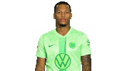 Football No Sticker by VfL Wolfsburg