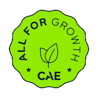 Cae Inc Sticker by CAE