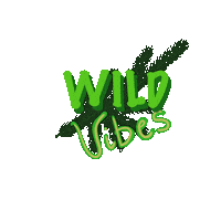 Vibes Explore Sticker