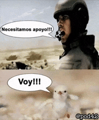 Pollo GIF