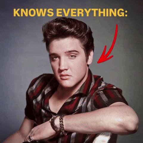 mjsrightglove elvis presley knows everything elvis funny elvis the fent lord GIF