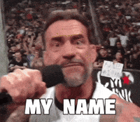 Cm Punk Wwe GIF