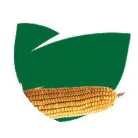 Sementes Sticker by Agro Bayer