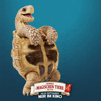 Kino Gute Laune GIF by Die Schule der magischen Tiere - Der Film