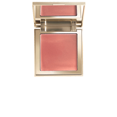 Singles Cream Blush Sticker by UP COSMETICS