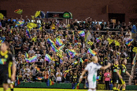 Soccer Futbol GIF by New Mexico United