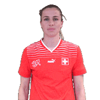 Link Switzerland Sticker by Swiss Football Association