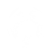 Soccer Ball Sticker by SUSA Soccer