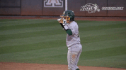 north dakota state bison GIF by NDSU Athletics