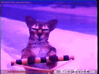 waterskiing GIF by RETRO-FIEND