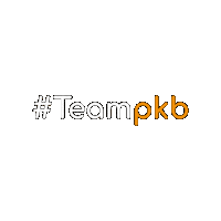 Team Teamwork Sticker by pkb-consulting