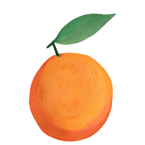 Orange Fruit Art Sticker