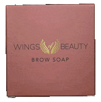 wingsofbeauty beauty makeup wings brows Sticker