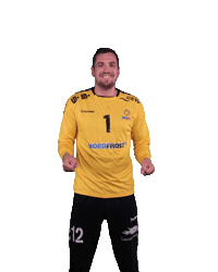 Wilhelmshaven Whv Sticker by whvhandball