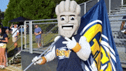 Wave Mascot GIF by Georgia Southwestern State University