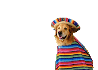 Dog Fun Sticker by Puesto