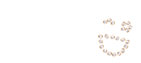 Happy Cheers Sticker by Chopard