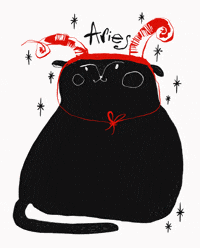 Cat Stars GIF