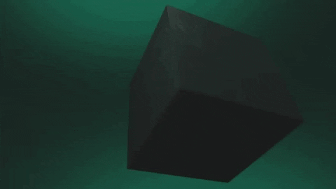 GIF by Fiona