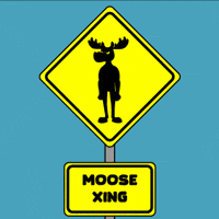 DoYouMoose nft walking blockchain web3 GIF