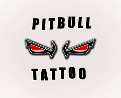 beach celebrity GIF by Pitbull Tattoo