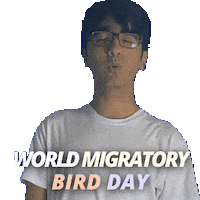World Migratory Bird Day Sticker