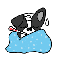 happy fun Sticker by Ivo Adventures