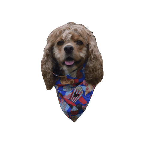 Cocker Spaniel Food Sticker by Geekster Pets