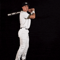 Home Run Baseball GIF by Purdue Fort Wayne Athletics