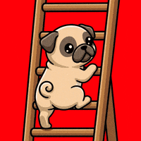 Dog Moving GIF by Pugs