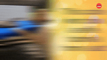 Golden Retriever Derps