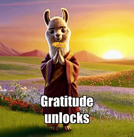 Joy Gratitude GIF by dalaillamazen