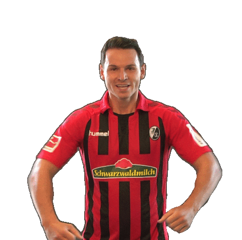 sc freiburg celebration Sticker by SCF