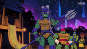 ninja turtles rise of the tmnt GIF by Teenage Mutant Ninja Turtles