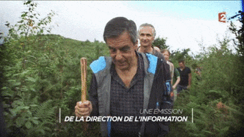 wtf GIF by franceinfo