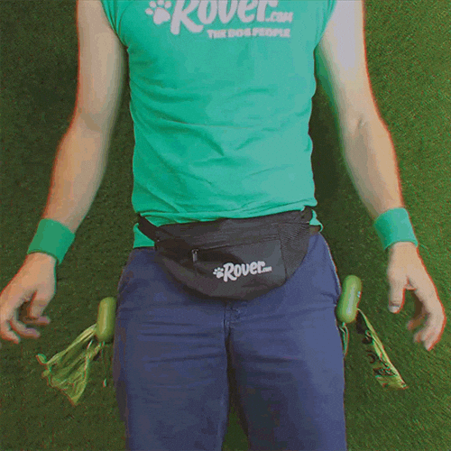 dog walker poop bag GIF by
