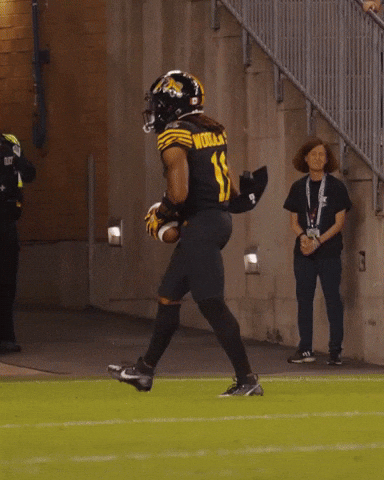 Tiger-Cats Football GIF by Hamilton Sports Group