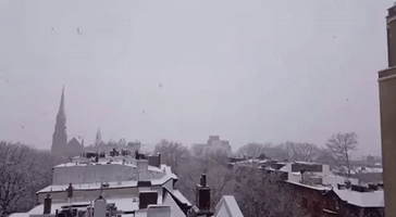 Thundersnow Flashes Across NYC During Nor'easter