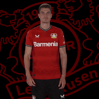 I Dont Like No GIF by Bayer 04 Leverkusen
